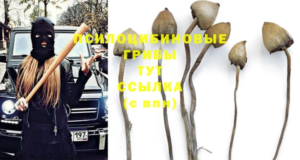 круглые Алексеевка